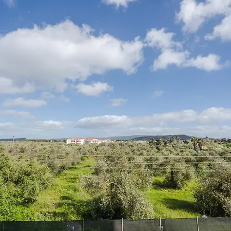Apartament Affittasardegna-casa Degli Ulivi *